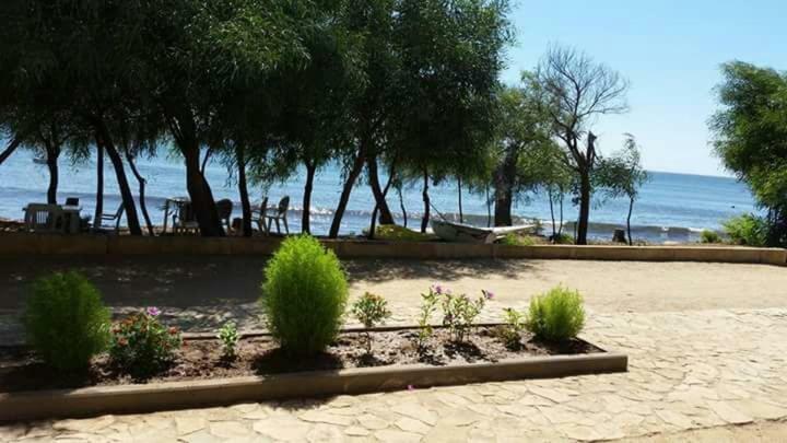 Brezza Di Mare Apartman Putzu Idu Kültér fotó
